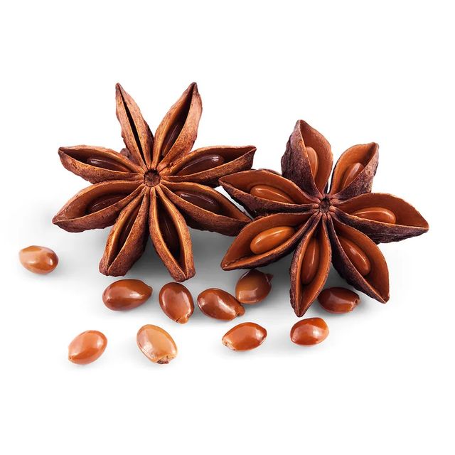 Vietnam star anise best offer Expo commodities - Image 3