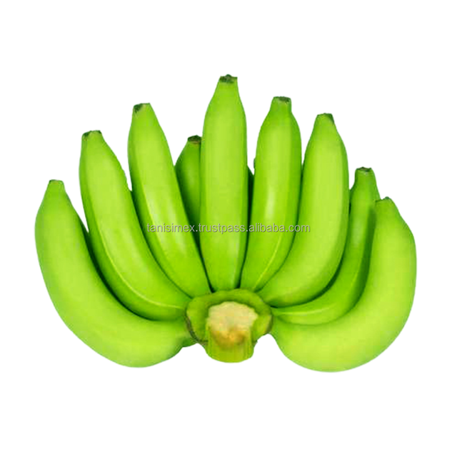 Get Your Fresh Bananas Exported: Find the Best Fruit & Cavendish Banana Export Services Today - Image 3