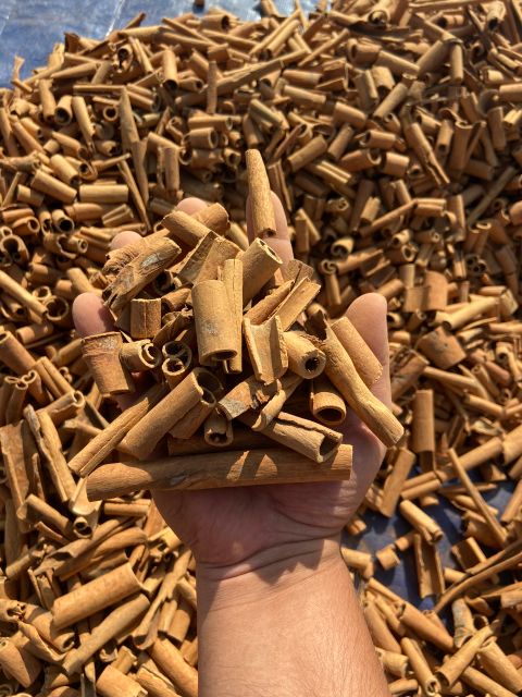 High Quality Single Spices Dried Premium Stick broken cassia sale Vietnam Cinnamon From Yen Bai Province - Image 5
