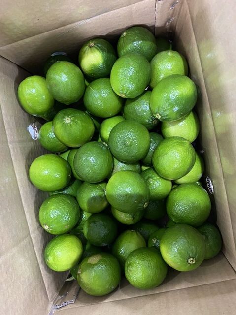 Vietnam fresh seedless lime Grade A Type LIME Style Fresh Color green Shelf Life 1 Content lime Weight (kg) 0.5 Ingredients - Image 5