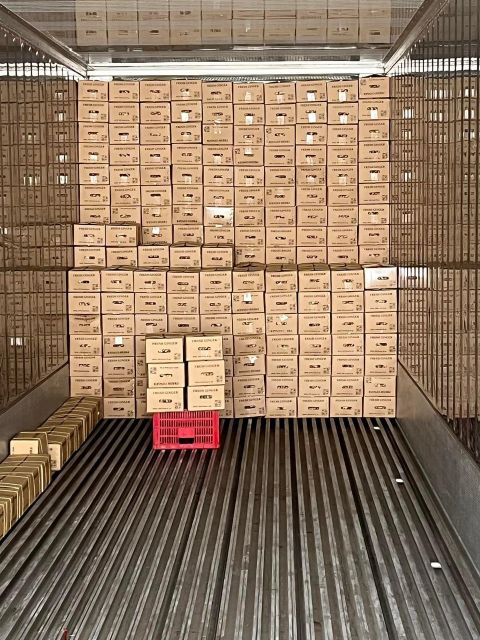 Best Price Ginger Keep Dry Or Refrigerated Old Organic Packed In Box Vietnam Manufacturer Frozen Vegetable - Image 5