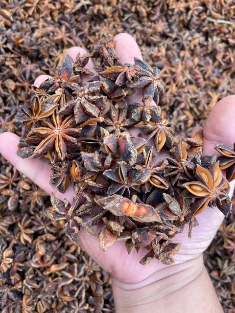 Best Price Dried Broken Star Anise Low Price Hot Style Packing Food Ingredients Vietnam Star Anise - Image 5