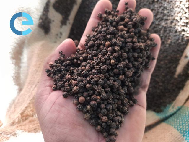 Black Spices Black pepper Vietnam wholesale bulk black pepper organic black pepper Asta Good price - Image 5