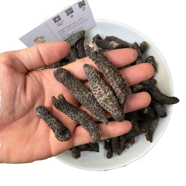 [Sea cucumber factory] Dried sea cucumber wholesale, Indonesia sea cucumber, dry seafood manufacturer - Image 4