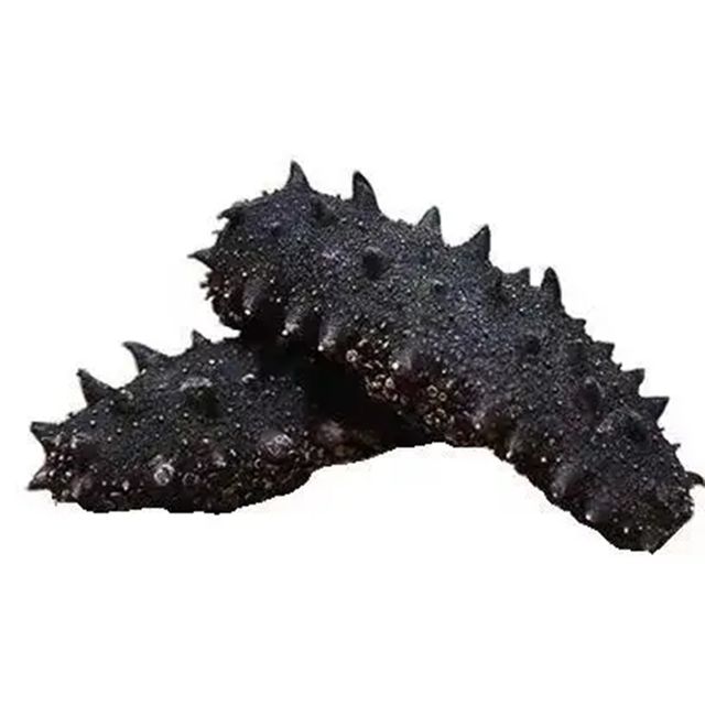 DRIED SEA CUCUMBER IS SELLING WHOLESALES PRICE WITH GOOD QUALITY - Image 3
