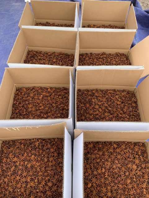 Factory Wholesale Low Price Star Anise Best Quality Star Aniseed Dried Star Anise Spices for Tea Cooking Decoration - Image 4