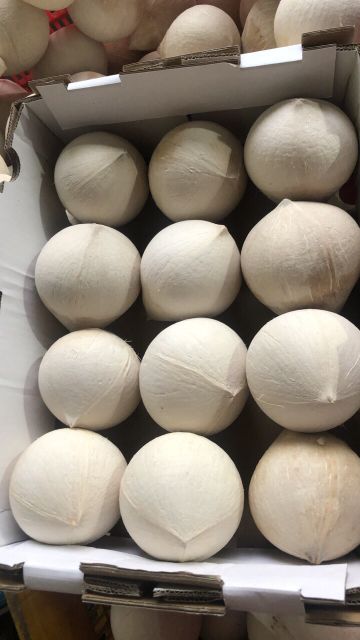 Fresh Young Coconuts Special Product With High Quality And Best Price In Vietnam - Image 5