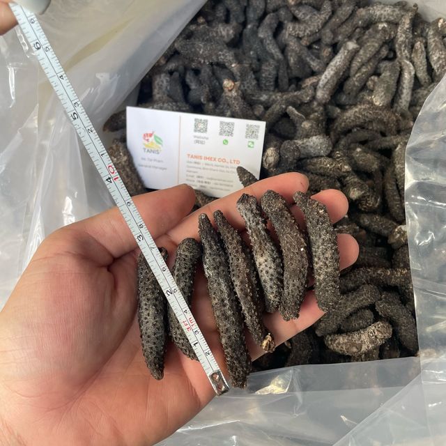 A-Grade dried sea cucumbers Deep sea dry sea cucumbers wholesale price - Image 5