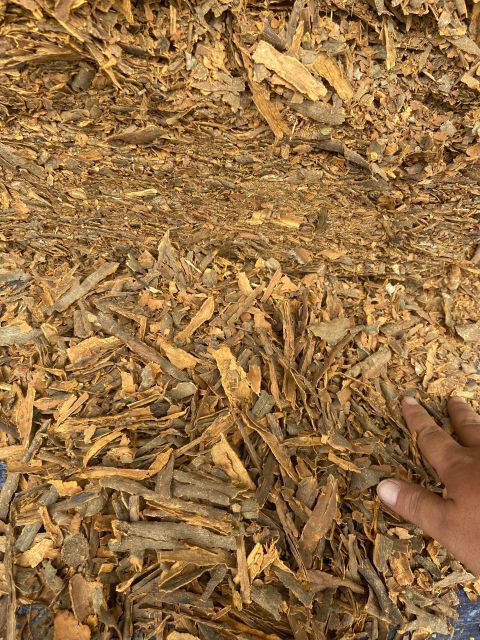 Vietnam Stick Cinnamon From Yen Bai Province High Quality Single Spices Pressed Whole Cassia Wholesale - Image 4