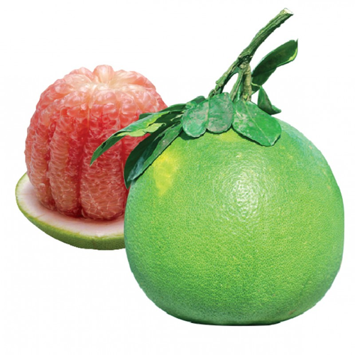 Fresh Fruit 1-1.8 kg/pcs Fresh Citrus Fruit Green skin pomelo grapefruit With pink flesh Brix 10 - 13% From Vietnam - Image 1