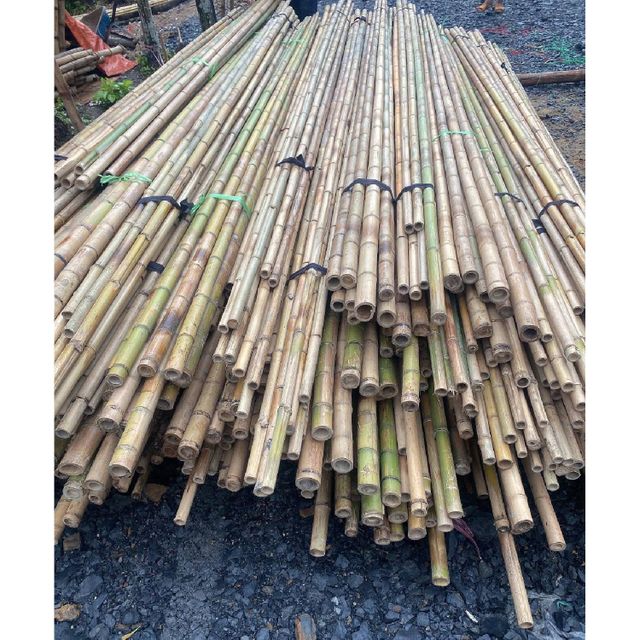 Factory Wholesale Cheap Price Natural Artificial Bamboo Poles for Indoor Outdoor Decoration - Image 4
