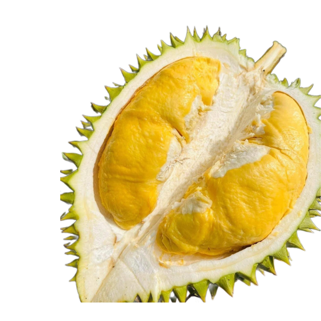 The Hot Fresh Durians ,Flesh Durian Malaysia, Fresh Durian fruit for sale Organic fruits Packing Box in Vietnam - Image 1