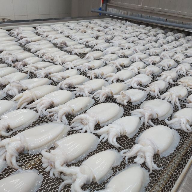 BEST PRICE Frozen Cuttlefish high quality OEM Packing for buyers | cuttlefish frozen big sizes wholesales - Image 3