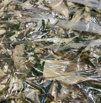 Sour Corn (Corn Silage) Origin Vietnam Protein Content 8.5% Ingredient Corn Tree Shelf Life Up To 12 Months Storage Dry Or Cold - Image 5