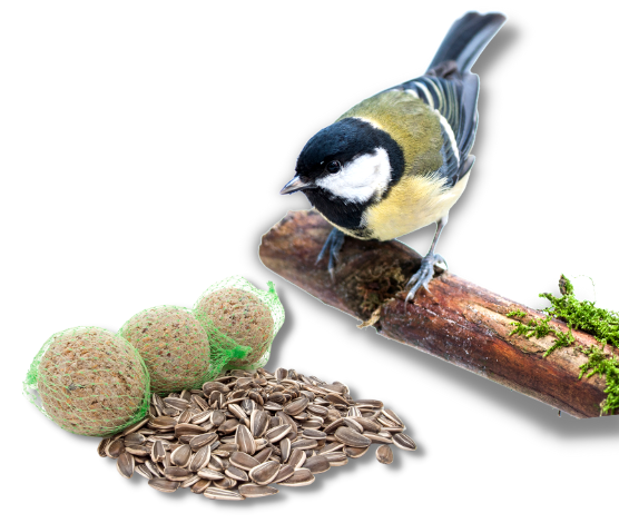Qualitative Fat Balls, Sticks, and Seed Mixtures for Animals - Image 1