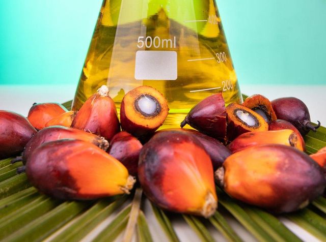 Palm Oil - Image 3