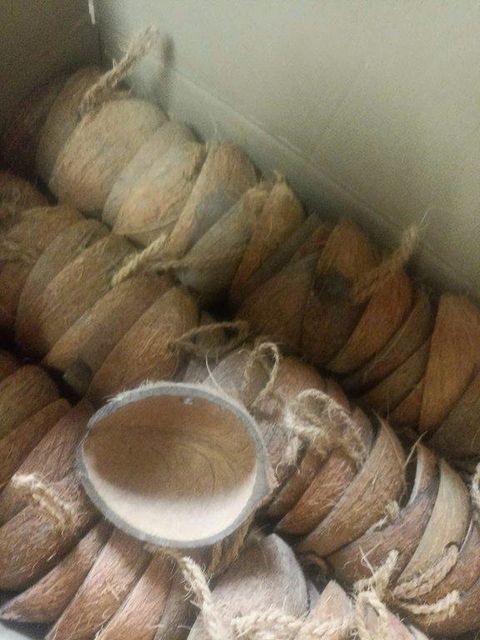 Coconut Shell Bird Feeders - Image 1