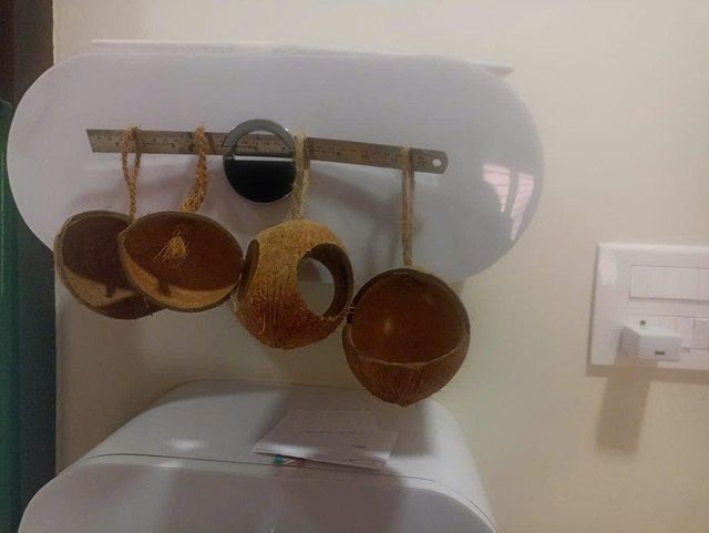 Coconut Shell Bird Feeders - Image 4