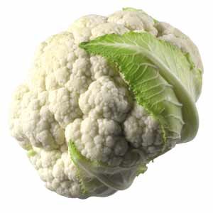 Vegetables – product photo 8, product detail gallery