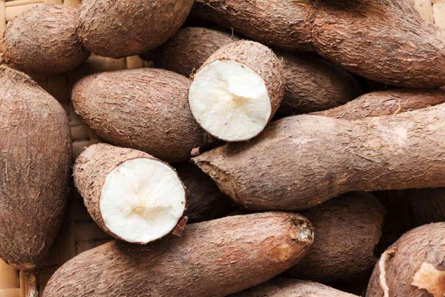 Cassava - Image 1