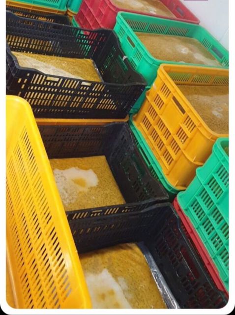 Passion Export Frozen Golden Passion Fruit from Vietnam wholesale High Quality (Certification: GAP, HACCP...) - 100% Organic - Image 2
