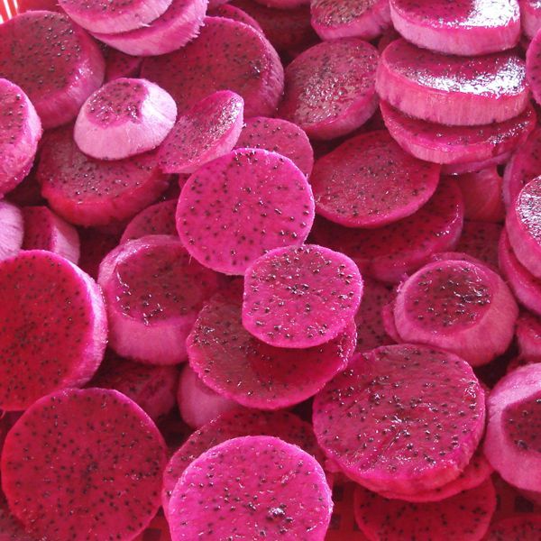 Full of certificate for exporting Purple dragon fruits Frozen tropical fruits from fresh tropical fruits origin Vietnam - Image 1
