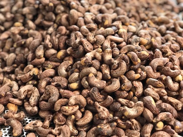 Raw Cashews Nuts Export from Vietnam - 100% Organic High Quality (Certification: GAP, HACCP...) - Image 5