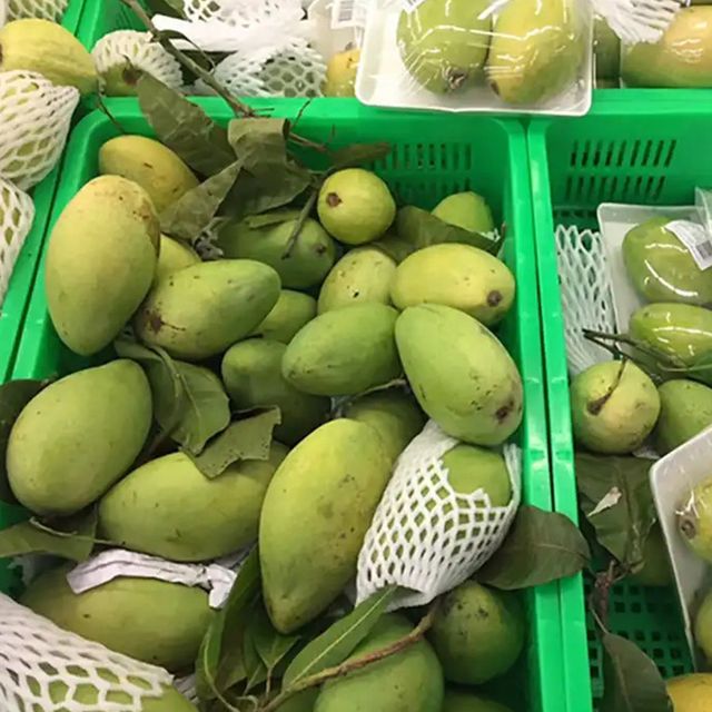 2023 Wholesale High Quality Fresh Yellow Cat Chu Mango From Vietnam With Best Price Ready To Ship – product photo 4, product detail gallery