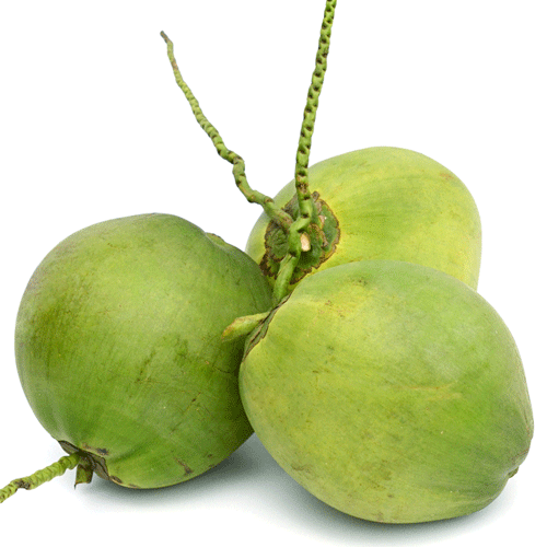 Whole Coconut, Diamond Coconut, and Top Cut Coconut from Vietnam 100% High Quality Fruit - Image 3