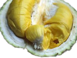 The Best Fresh Durian , Tropical Fruit, Vietnam Export products to China, Thailand, Malaysia, Turkey Fresh Durian Fruit - Image 5