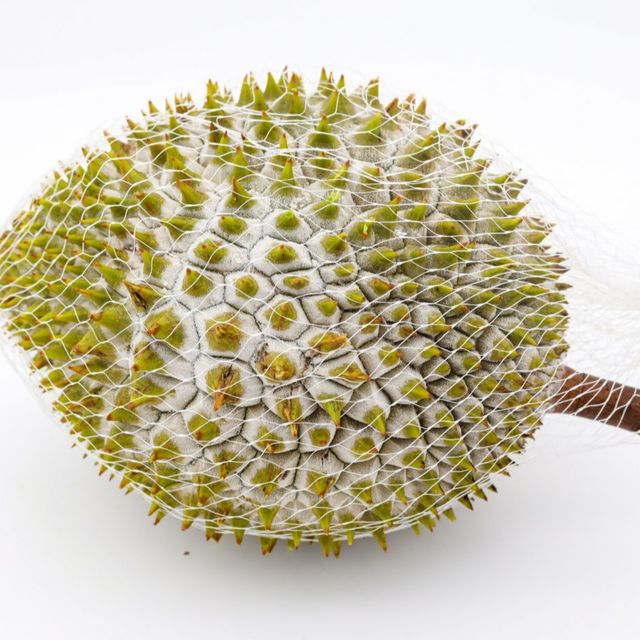 Best Selling Frozen Fresh Ri6/Monthong Durian in Vietnam 2023/ Competitive Price Frozen Fresh Durian – product photo 1, product detail gallery