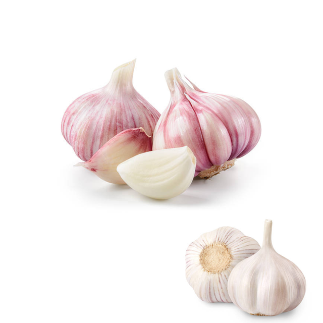 Hot Item Garlic Used As A Seasoning For Dishes 100% Dried Garlic Organic Packed In Box Vietnamese Manufacturer - Image 4