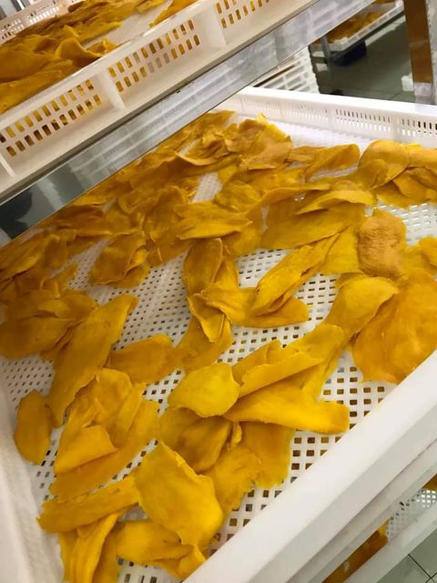 Dried mango slice sweet dried mango yellow color origin Vietnam vacuum packaging dried fruit and vegetable for snack for export - Image 5