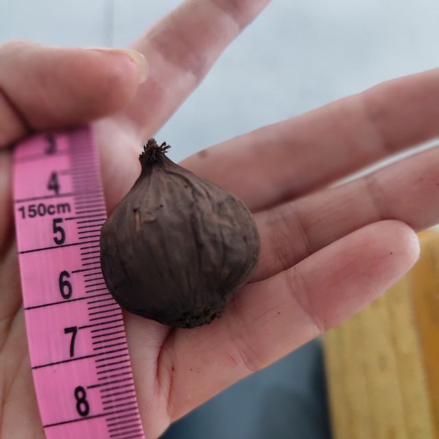 Wholesale Organic fermented whole bulb black garlic single clove/multi-clove healthy with high quality and competitive price - Image 3