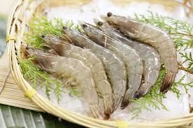 Frozen IQF Vannamei Shrimp HOSO Head On Shell On prawn High quality white shrimp HACCP, ISO, - Image 3