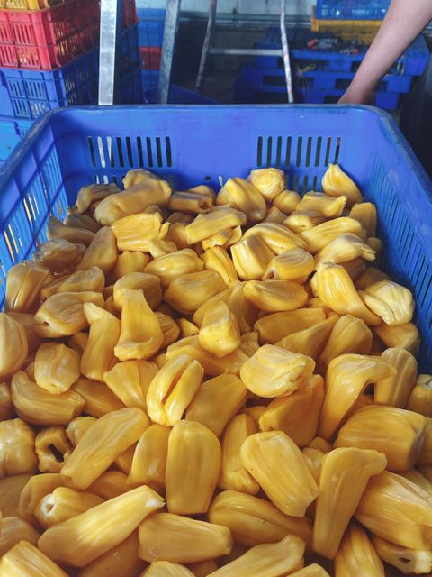 IQF Frozen Jackfruit - Tropical Fruits & Vegetables from Vietnam - Image 3