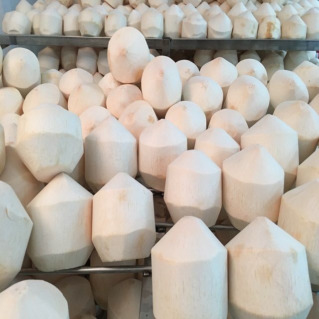 Whole Coconut, Diamond Coconut, and Top Cut Coconut from Vietnam 100% High Quality Fruit - Image 4