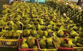 The Best Fresh Durian , Tropical Fruit, Vietnam Export products to China, Thailand, Malaysia, Turkey Fresh Durian Fruit - Image 3