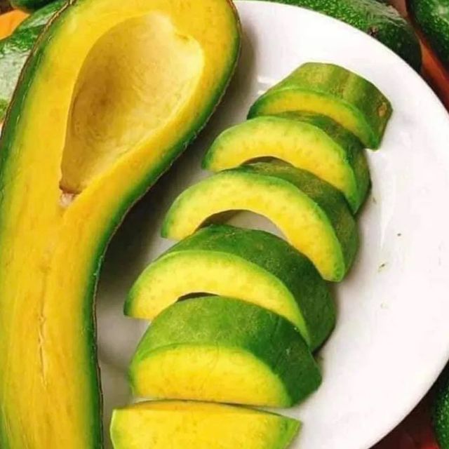Fresh Avocado Made In Vietnam For Export With The Best Price Standard High Tropical Fruit New Crop 2023 - Image 3