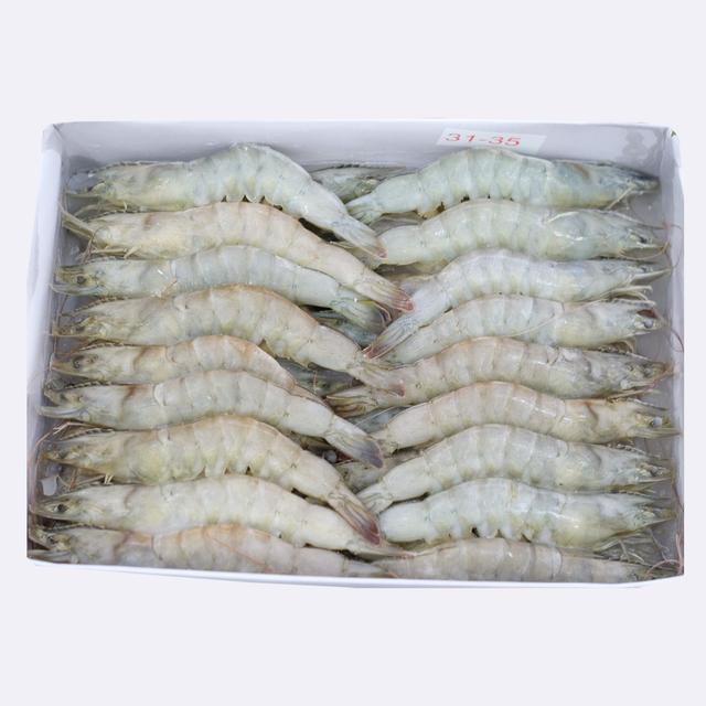 Best Quality Frozen Raw Vannamei Hoso/ Frozen Vannamei White Shrimp Raw with Competitive price - Image 5