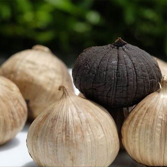 Wholesale Organic fermented whole bulb black garlic single clove/multi-clove healthy with high quality and competitive price - Image 5