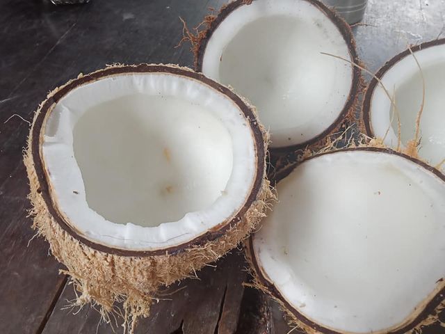 Semi husked Coconut Fresh From Vietnam Best Price for Export with 100% High Quality Product - Image 3