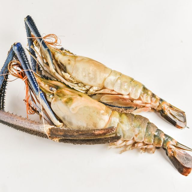 Top sales scampi frozen shrimp wholesale from vietnam - Image 1