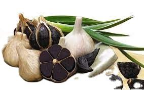 Wholesale Organic fermented whole bulb black garlic single clove/multi-clove healthy with high quality and competitive price - Image 4