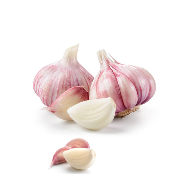 Fast Delivery Garlic Used As A Seasoning For Dishes 100% Dried Garlic Organic Packed In Box Vietnam Manufacturer peeled garlic - Image 5