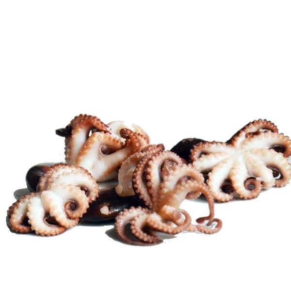 Hot item for Wholesale frozen whole octopus cleaned from Vietnam - Image 2