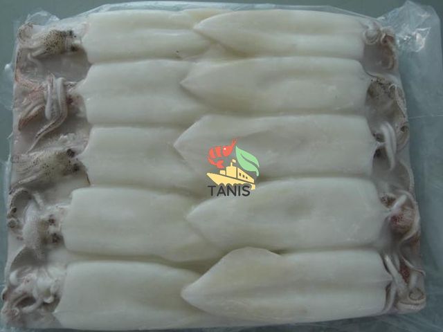 High Quality Frozen Cleaned Squid From Vietnam Manufacture - Image 2