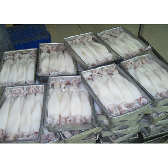 High Quality Frozen Cleaned Squid From Vietnam Manufacture - Image 5