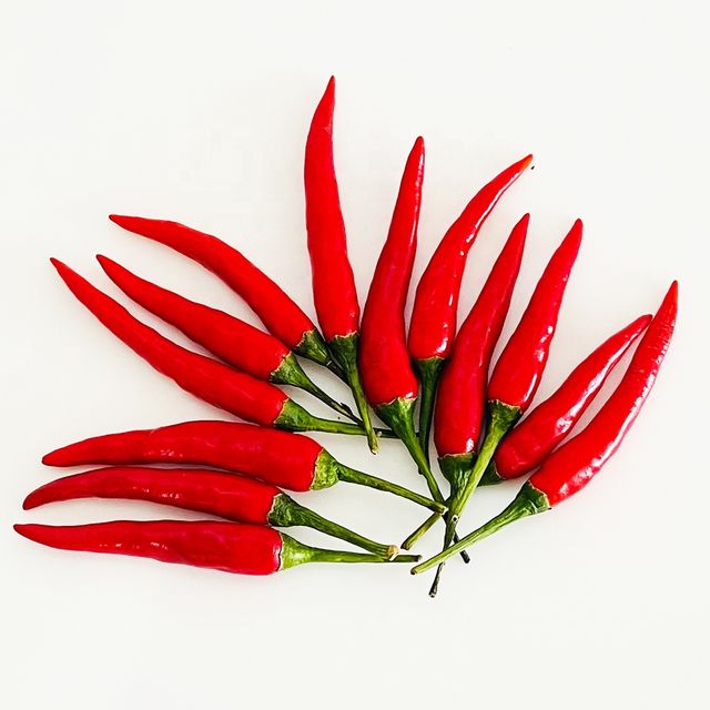 Single Spices and Herbs Fresh Long Red Spicy chilli With 2 months Shelf Life Frozen Style from Vietnam For Export - Image 4