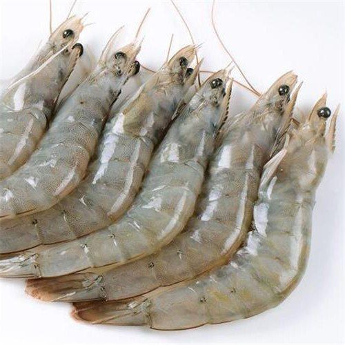 Best Quality Frozen Raw Vannamei Hoso/ Frozen Vannamei White Shrimp Raw with Competitive price - Image 3